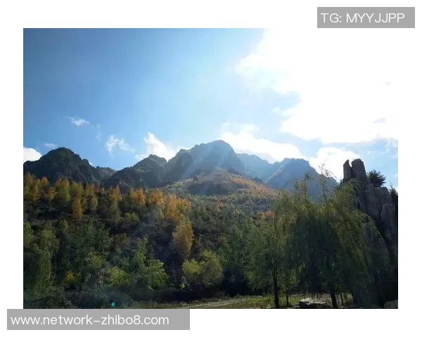 亚达禾与费哈的精彩对决分析及赛后点评